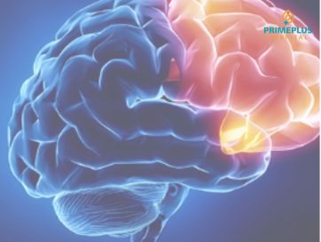 Best Neuro and Trauma Care Unit Primeplus Hospital in Uruli Kanchan